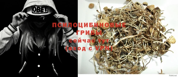 прущий лед Лиски