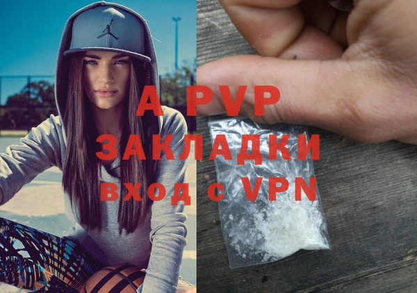 mdpv Бердск