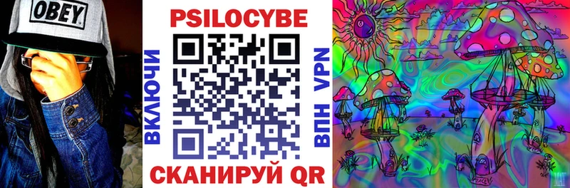 Псилоцибиновые грибы ЛСД Питкяранта