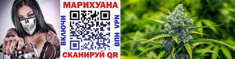 где найти наркотики  Питкяранта  Каннабис VHQ 